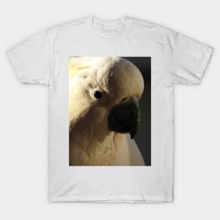 Sulphur Crested Cockatoo T-Shirt